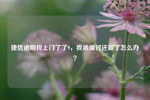 捷信逾期找上门了了9，我被催讨还款了怎么办？