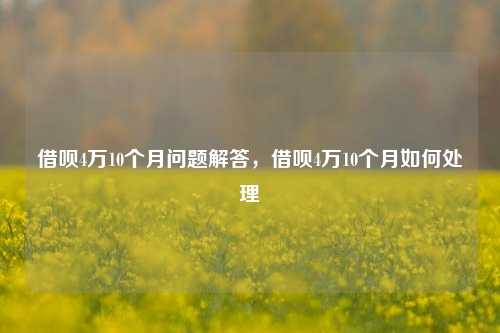 借呗4万10个月问题解答，借呗4万10个月如何处理