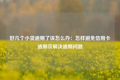 好几个小贷逾期了该怎么办：怎样避免信用卡逾期及解决逾期问题