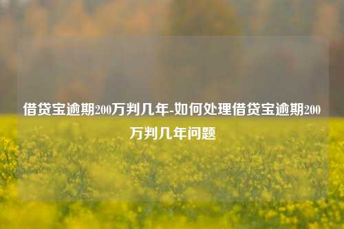 借贷宝逾期200万判几年-如何处理借贷宝逾期200万判几年问题