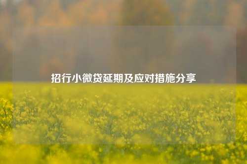 招行小微贷延期及应对措施分享