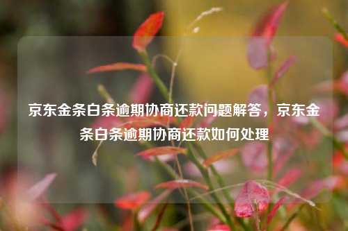 京东金条白条逾期协商还款问题解答，京东金条白条逾期协商还款如何处理