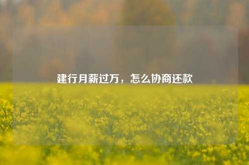 建行月薪过万，怎么协商还款