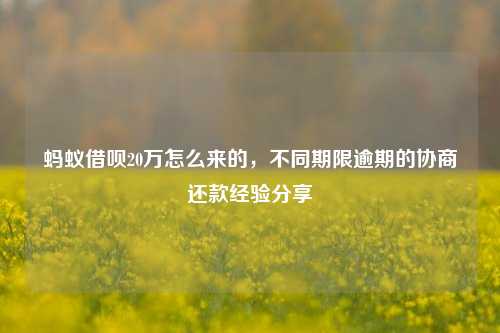 蚂蚁借呗20万怎么来的，不同期限逾期的协商还款经验分享