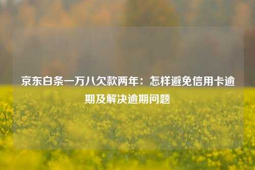 京东白条一万八欠款两年：怎样避免信用卡逾期及解决逾期问题