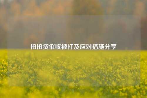 拍拍贷催收被打及应对措施分享