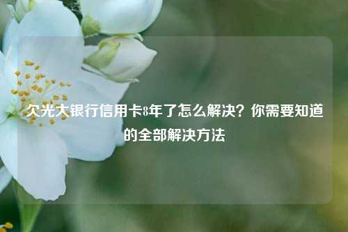 欠光大银行信用卡8年了怎么解决？你需要知道的全部解决方法