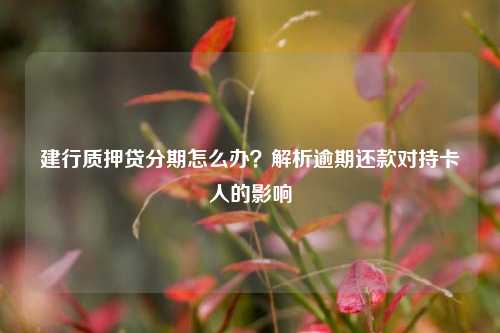 建行质押贷分期怎么办？解析逾期还款对持卡人的影响