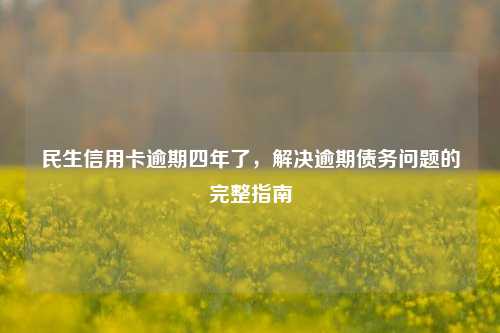 民生信用卡逾期四年了，解决逾期债务问题的完整指南