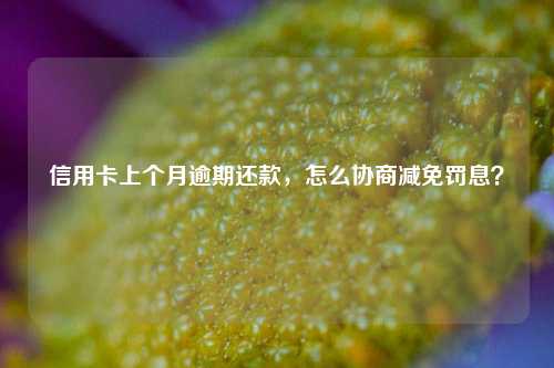 信用卡上个月逾期还款，怎么协商减免罚息？