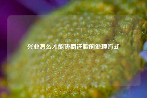 兴业怎么才能协商还款的处理方式