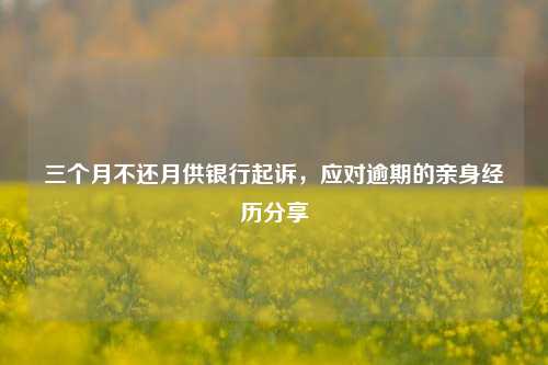 三个月不还月供银行起诉，应对逾期的亲身经历分享