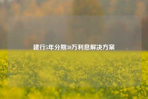 建行5年分期30万利息解决方案