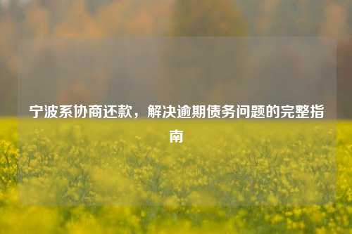 宁波系协商还款，解决逾期债务问题的完整指南