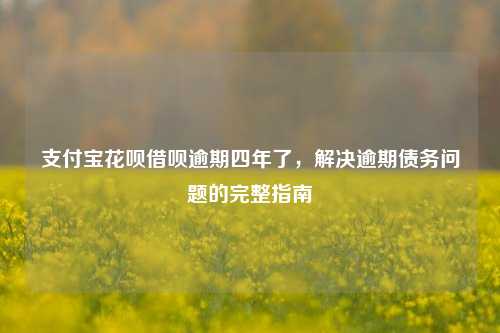 支付宝花呗借呗逾期四年了，解决逾期债务问题的完整指南