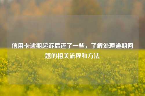 信用卡逾期起诉后还了一些，了解处理逾期问题的相关流程和方法