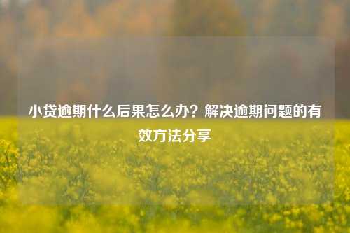 小贷逾期什么后果怎么办？解决逾期问题的有效方法分享