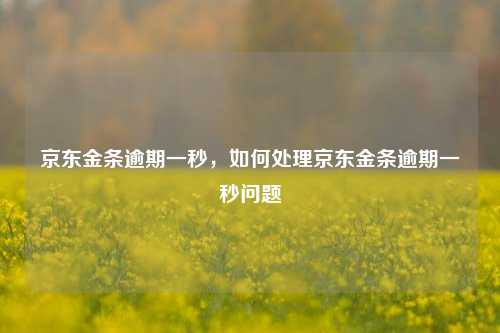 京东金条逾期一秒，如何处理京东金条逾期一秒问题