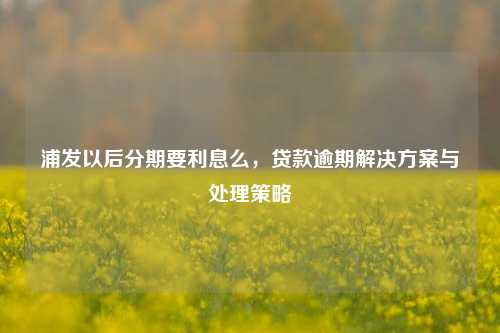 浦发以后分期要利息么，贷款逾期解决方案与处理策略