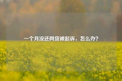 一个月没还网贷被起诉，怎么办？