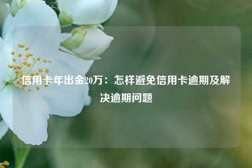 信用卡年出金20万：怎样避免信用卡逾期及解决逾期问题