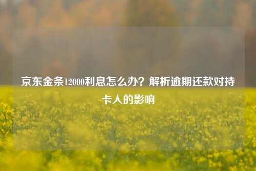 京东金条12000利息怎么办？解析逾期还款对持卡人的影响