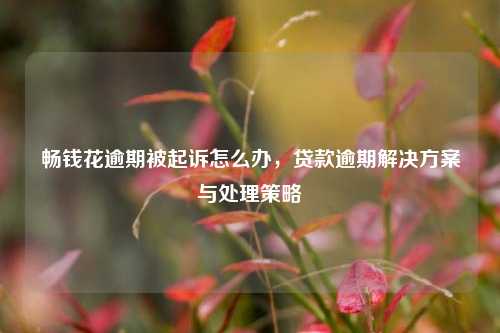 畅钱花逾期被起诉怎么办，贷款逾期解决方案与处理策略