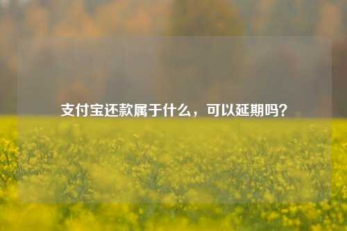 支付宝还款属于什么，可以延期吗？