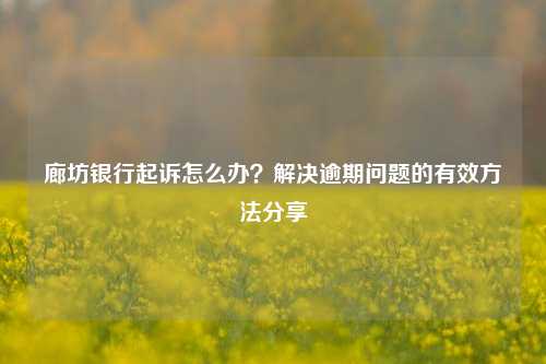 廊坊银行起诉怎么办？解决逾期问题的有效方法分享