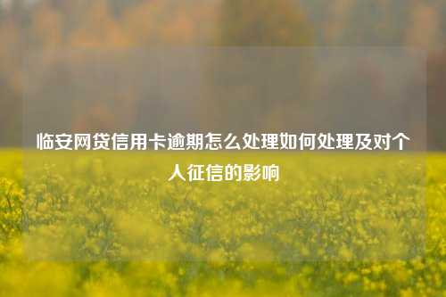 临安网贷信用卡逾期怎么处理如何处理及对个人征信的影响