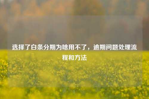 选择了白条分期为啥用不了，逾期问题处理流程和方法