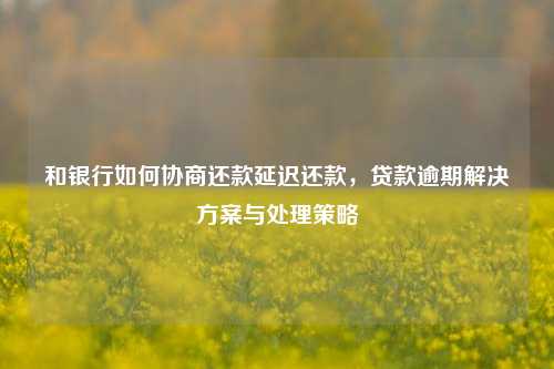 和银行如何协商还款延迟还款，贷款逾期解决方案与处理策略