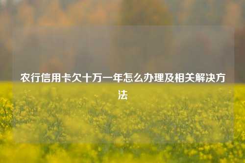 农行信用卡欠十万一年怎么办理及相关解决方法