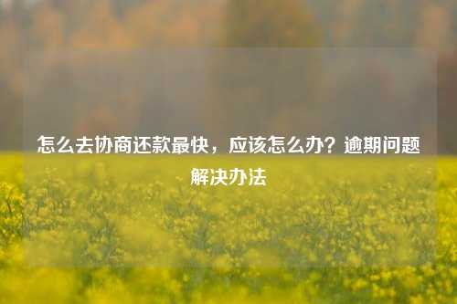 怎么去协商还款最快，应该怎么办？逾期问题解决办法