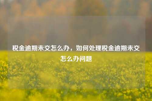 税金逾期未交怎么办，如何处理税金逾期未交怎么办问题