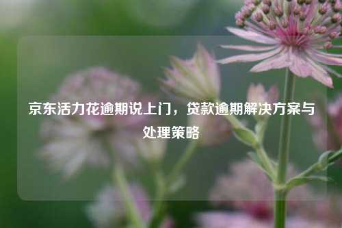 京东活力花逾期说上门，贷款逾期解决方案与处理策略