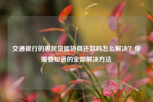 交通银行的惠民贷能协商还款吗怎么解决？你需要知道的全部解决方法