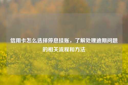 信用卡怎么选择停息挂账，了解处理逾期问题的相关流程和方法