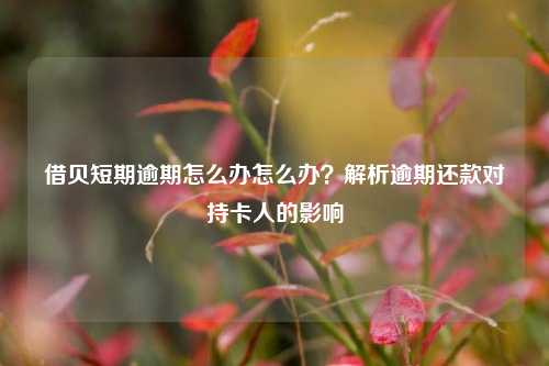 借贝短期逾期怎么办怎么办？解析逾期还款对持卡人的影响