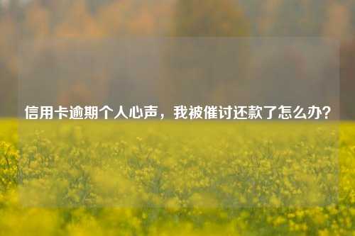 信用卡逾期个人心声，我被催讨还款了怎么办？