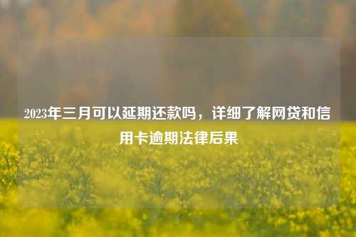 2023年三月可以延期还款吗，详细了解网贷和信用卡逾期法律后果