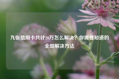 九张信用卡共计20万怎么解决？你需要知道的全部解决方法