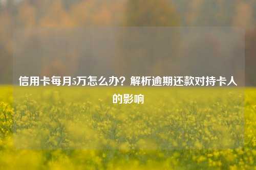 信用卡每月5万怎么办？解析逾期还款对持卡人的影响