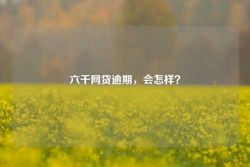 六千网贷逾期，会怎样？