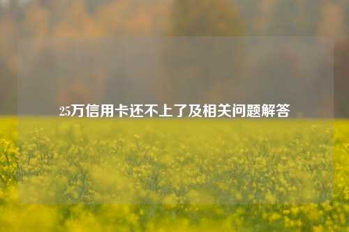 25万信用卡还不上了及相关问题解答