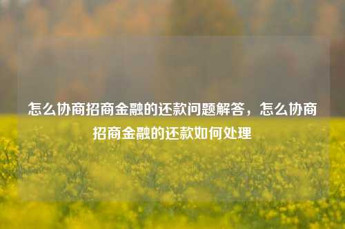 怎么协商招商金融的还款问题解答，怎么协商招商金融的还款如何处理