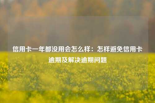 信用卡一年都没用会怎么样：怎样避免信用卡逾期及解决逾期问题