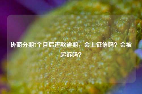 协商分期7个月后还款逾期，会上征信吗？会被起诉吗？