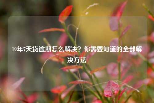 19年7天贷逾期怎么解决？你需要知道的全部解决方法