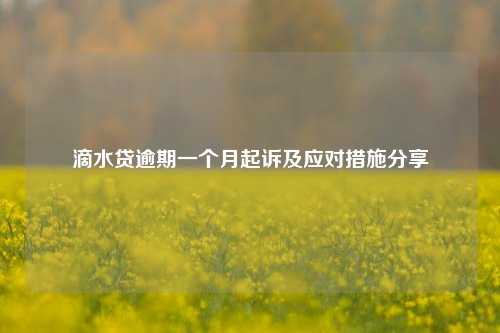 滴水贷逾期一个月起诉及应对措施分享